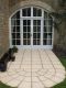 Exterior Door